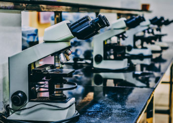 Doctors take inspiration from online dating to build organ transplant AI